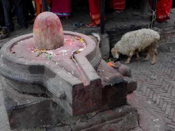 Hinduistisches Opferfest