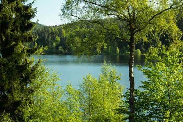 Morgenstimmung am See 01