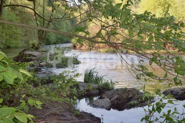Wupper