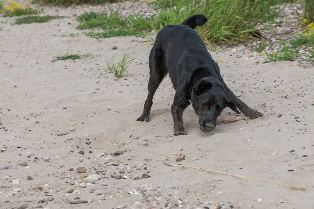 Hol dir den Stock doch ;-)