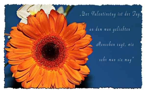 der tag der verliebten