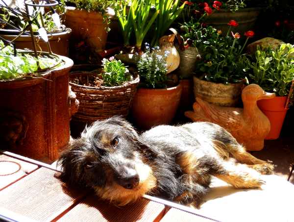 Relaxen in der Sonne