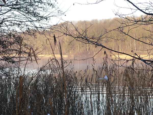 Avalon auf der anderen Seite?