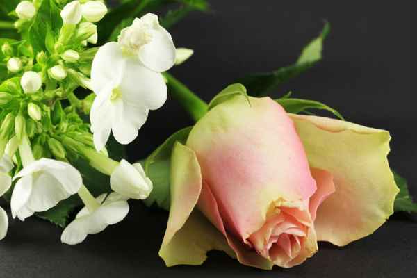 Arrangement