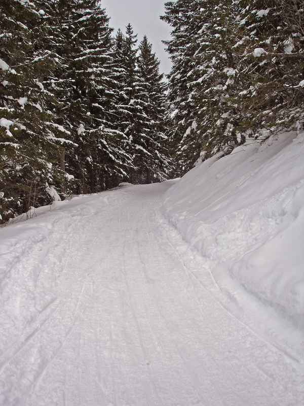 Naturrodelbahn