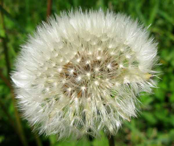 Immer einen Blick wert