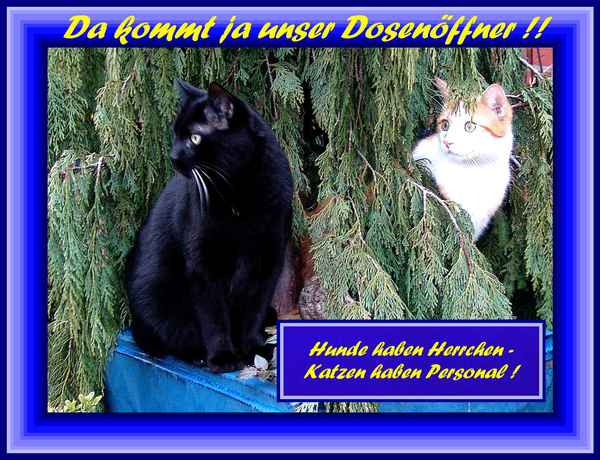 Moritz und Kollege - echte Freunde