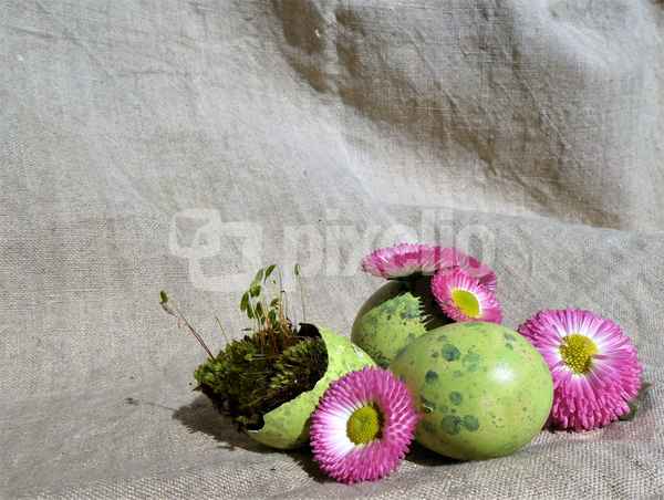 Frohe Ostern