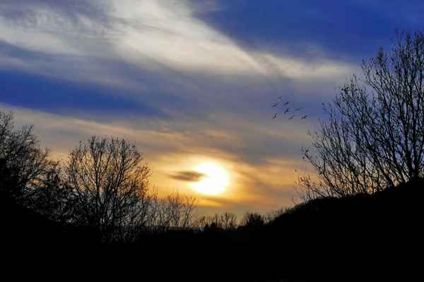 Blick nach Westen