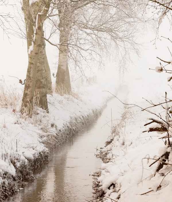 nebel in den feldern  12