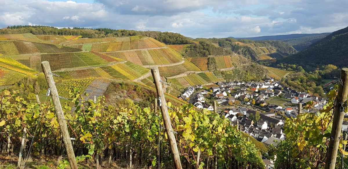 Herbststimmung an der Ahr bei Dernau