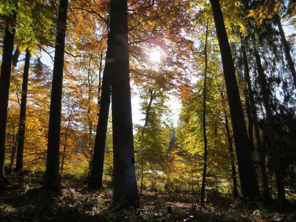Impressionen im November...