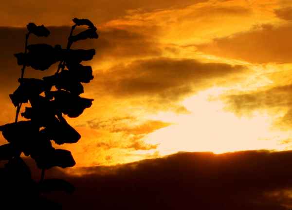 Der Himmel öffnet sich...