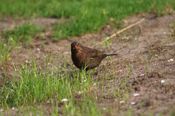 Ich bin eine stolze Mutter!
