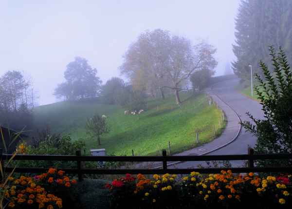 Der Morgennebel wird sich auflösen