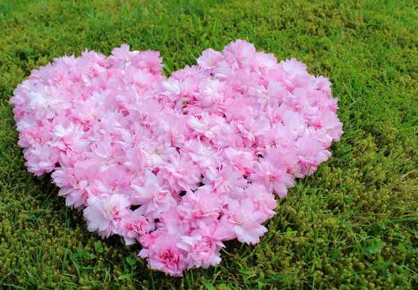 BLÜTENHERZ FÜR MUTTI I