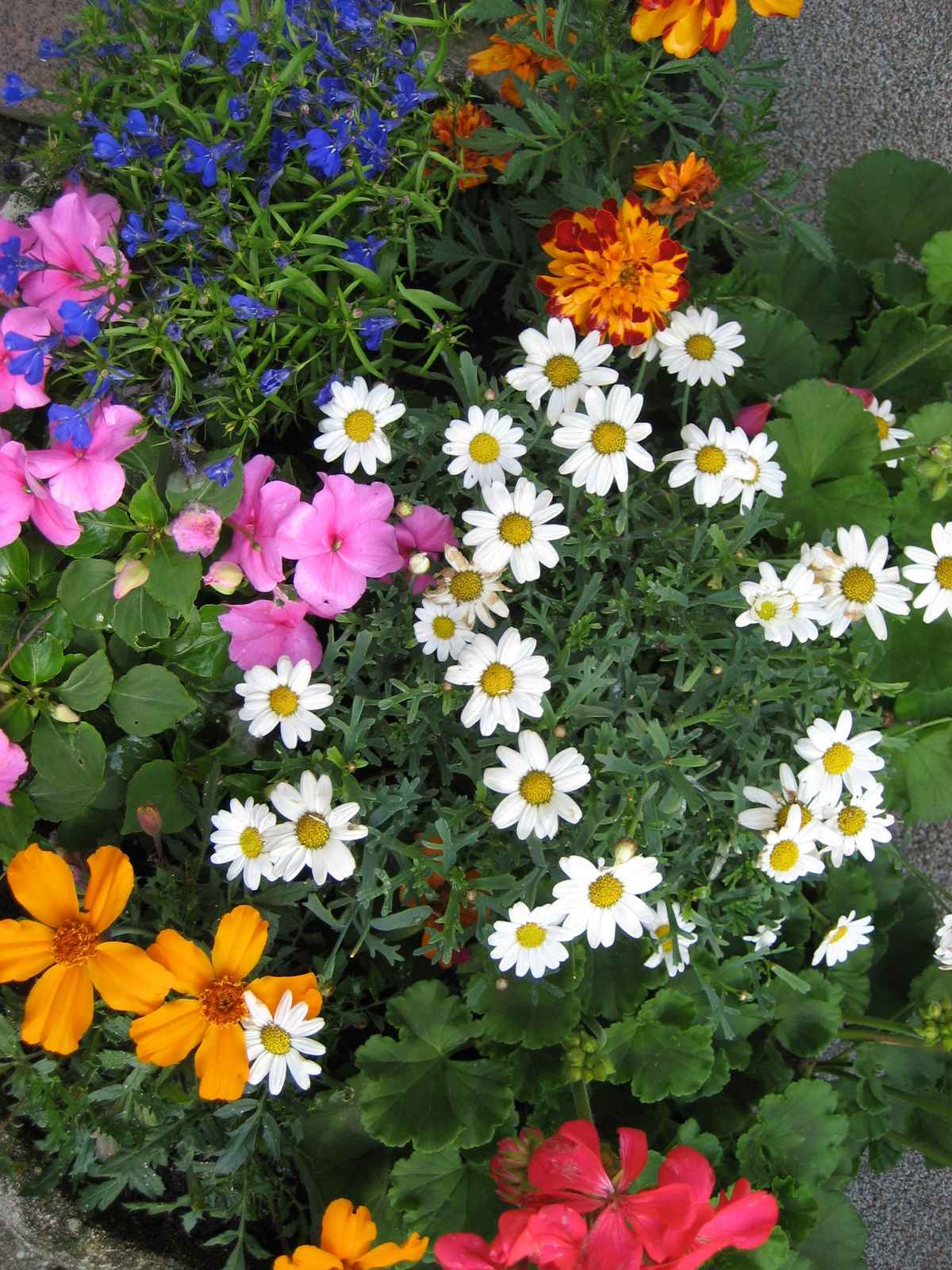 Bunte Blumenschale