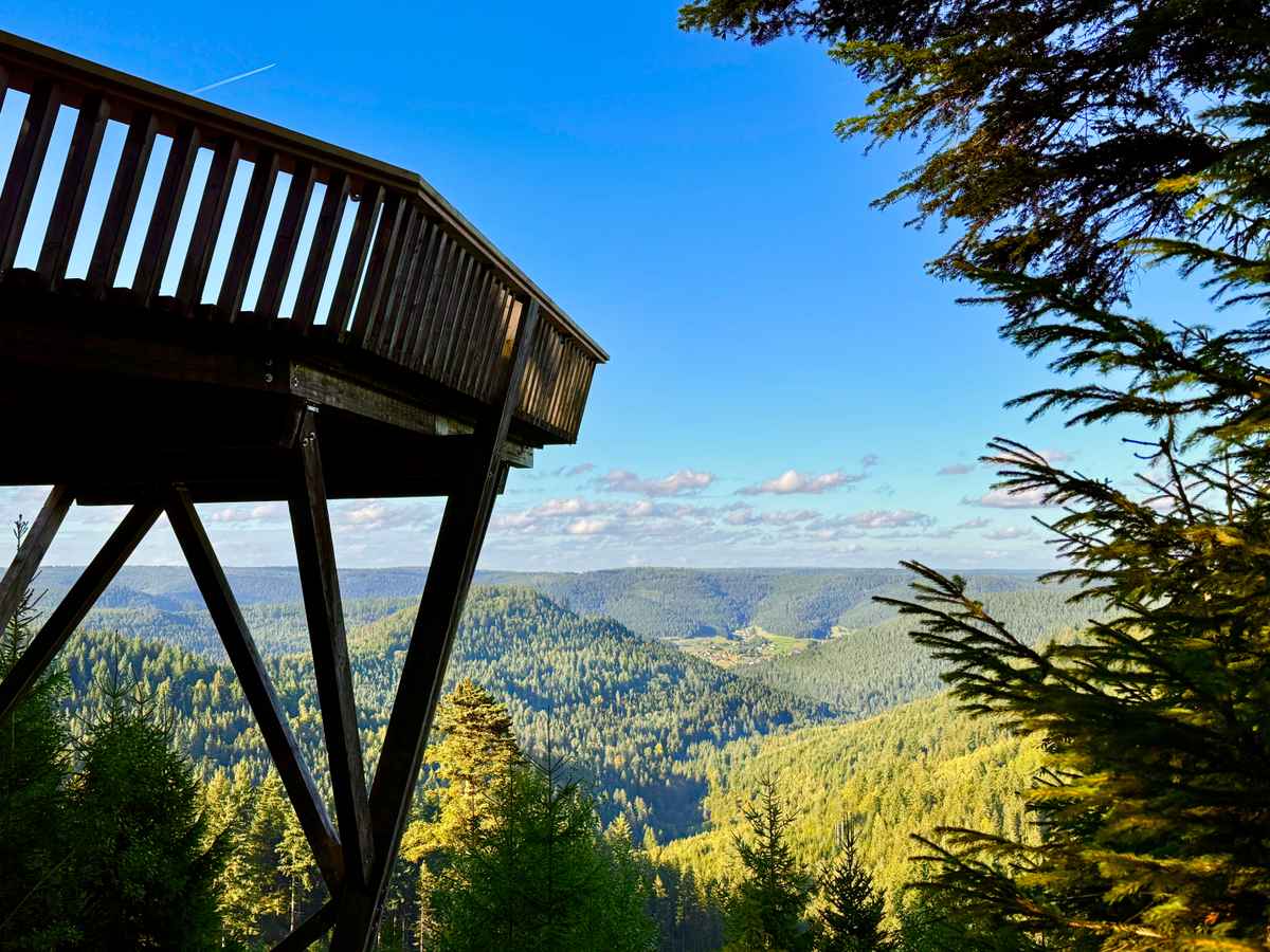 Aussichtskanzel Ellbachseeblick