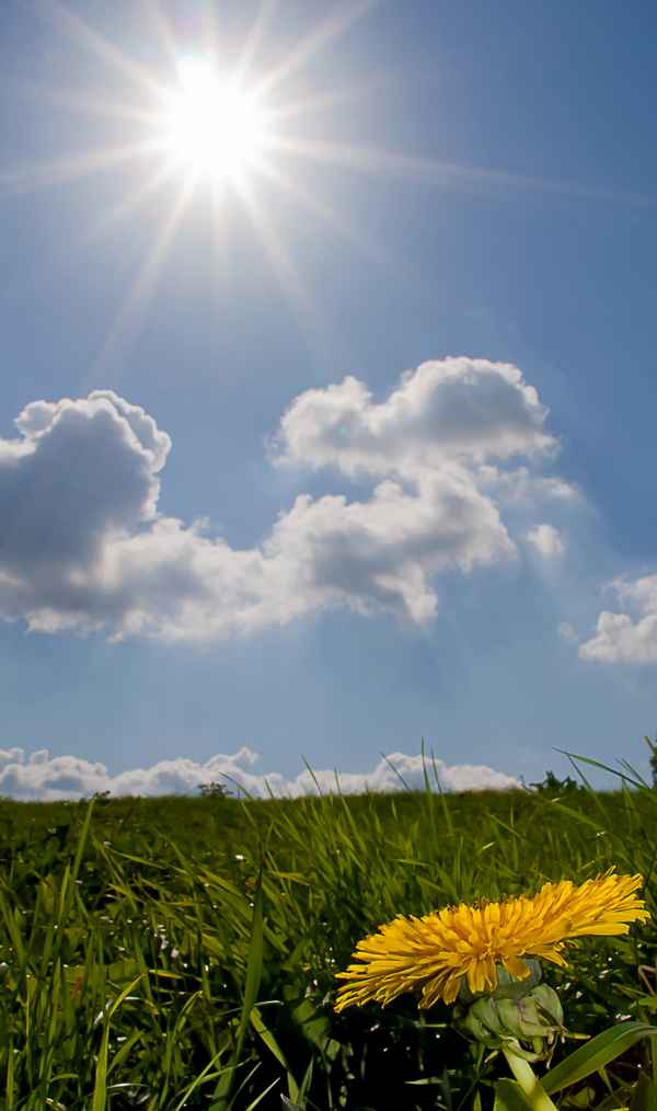 Noch mal Sonne tanken