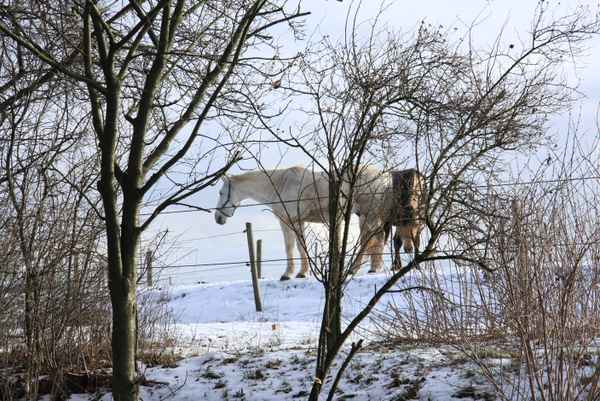 Ausschau nach besseren Zeiten