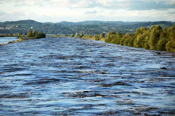 Hochwasser_Alpenrhein_Vorarlberg_13-08-2014 2