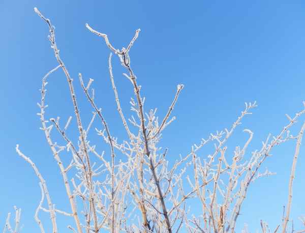 Im Land von Väterchen Frost