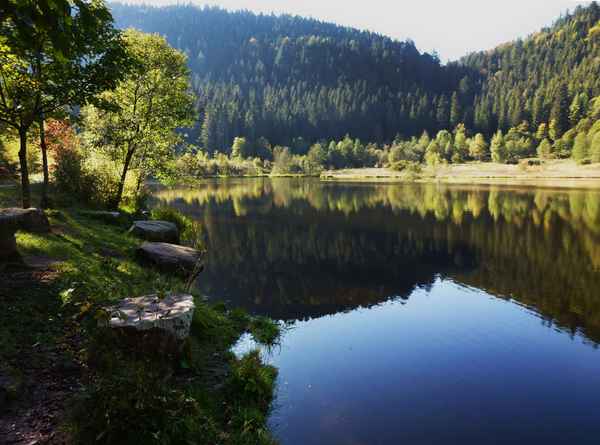 Sankenbachsee bei Baiersbronn_4