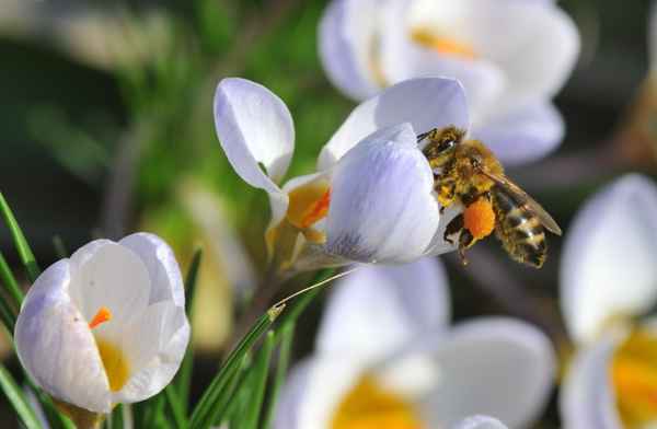 Die Racker unterwegs.