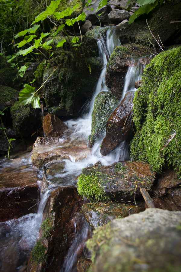 Burgbach-Wasserfall-5