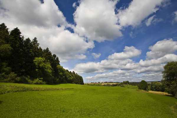 Landschaft beim Tumlinger See