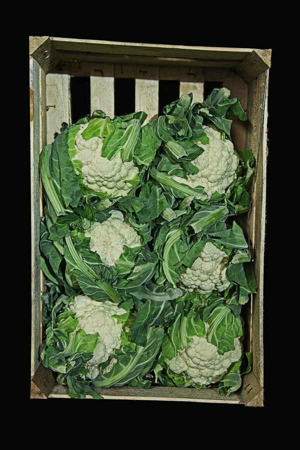 6er Kiste Blumenkohl