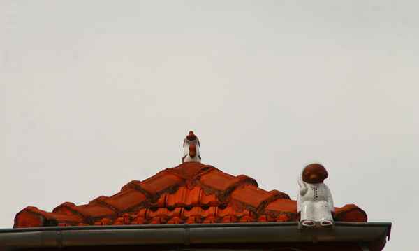 Zwei Schlafmützchen