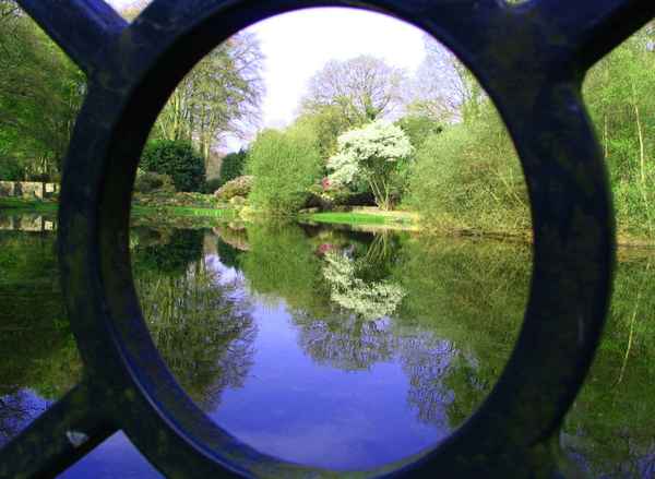 Die Natur ist rund