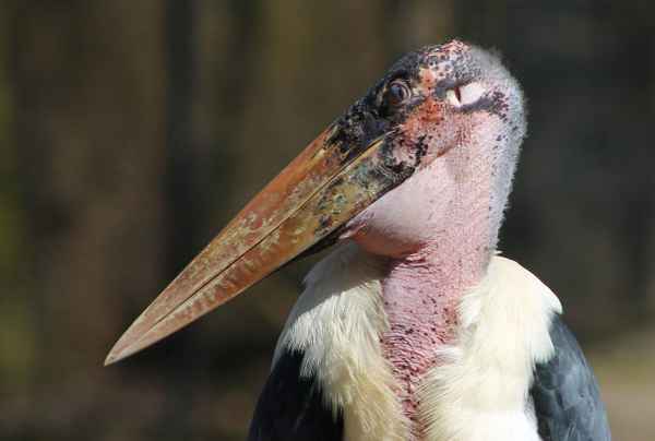 "Ich weiß, was ihr denkt..."