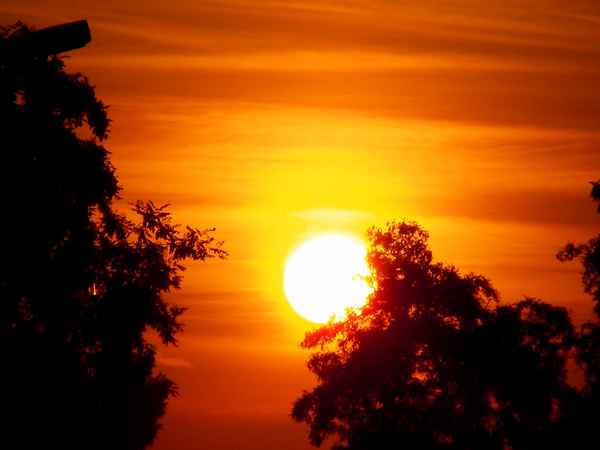 Sonne erwacht!_5