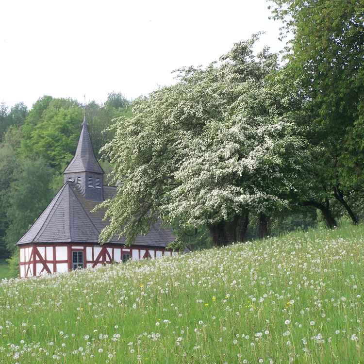 Frühlingskirche