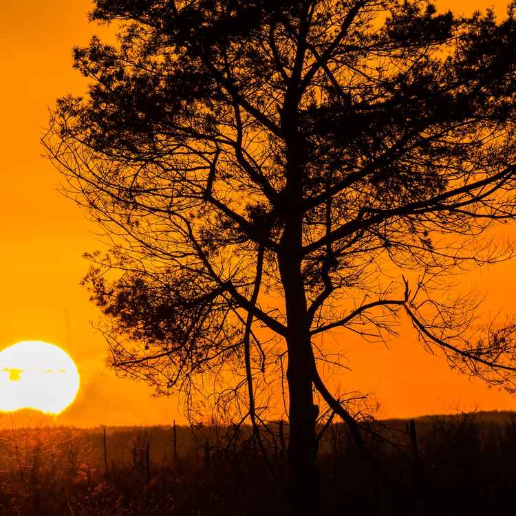 Sonnenuntergang im Goldenstedter Moor