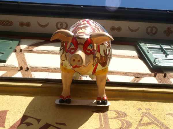 "Haben Sie Schweineohren?"