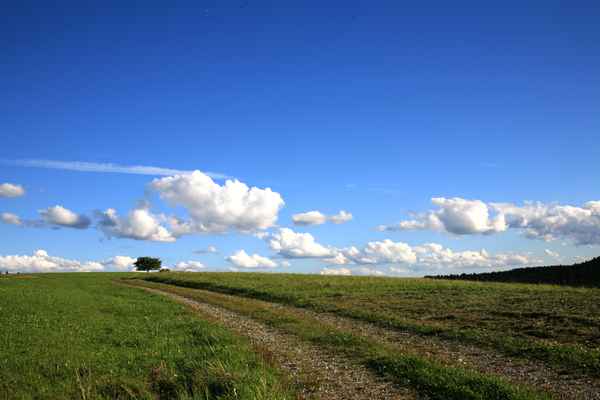 Himmelswiese_1