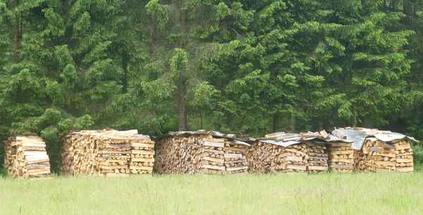 Viel Holz