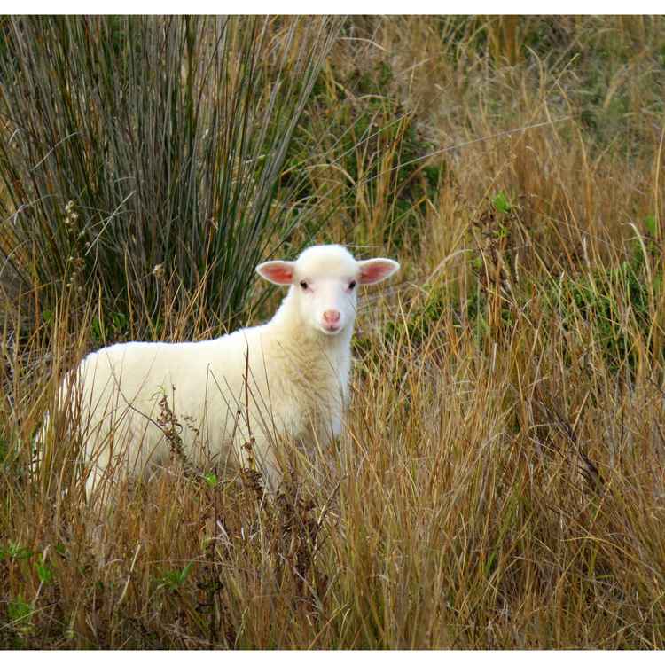 Lost in the wilderness !