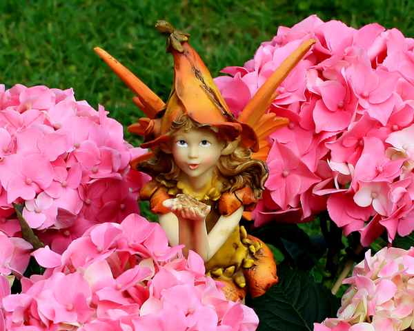 LASS BLUMEN SPRECHEN