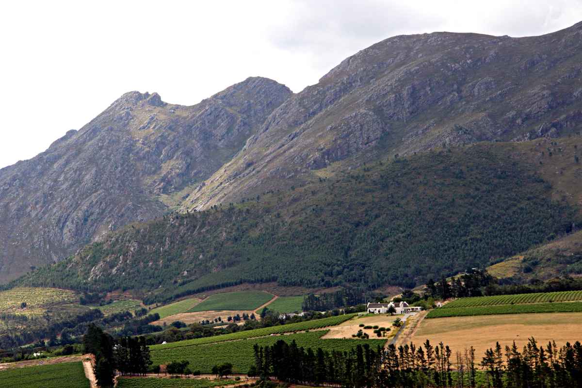 Südafrika - Weinregion Stellenbosch