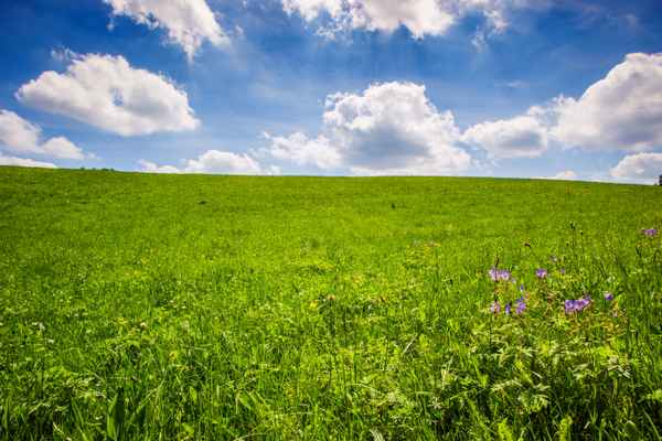 Wolkenwiese