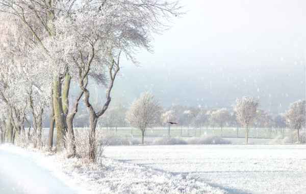 Ein Wintertag im November 2016