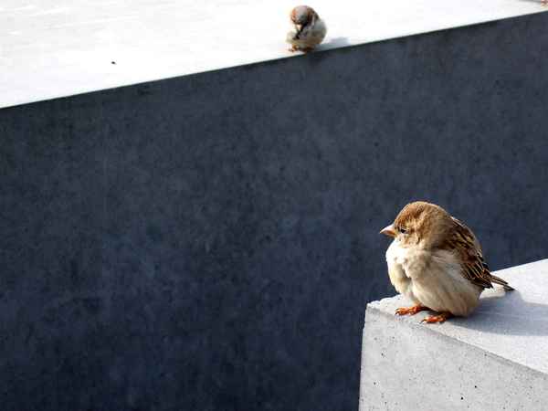 Holocaust-Gedenkstätte