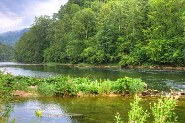 Le Doubs bei der Moulin du Plain