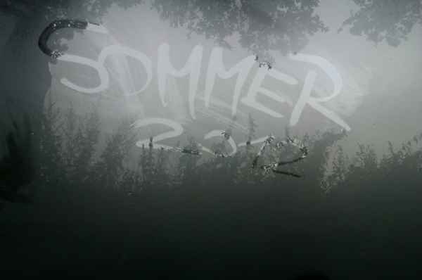 Sommer 2012