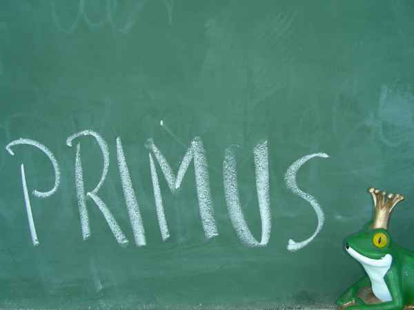 PRIMUS