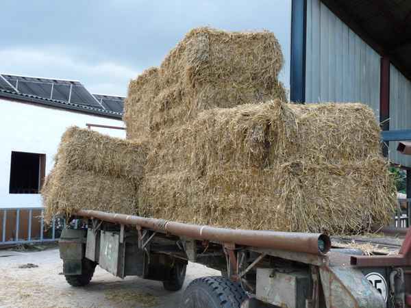 Strohwagen 1